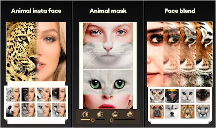 Beauty Face Plus: Face Morphing on Play Store